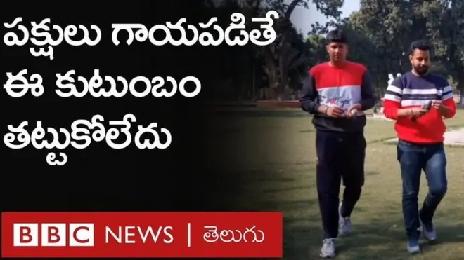 పక్షులు