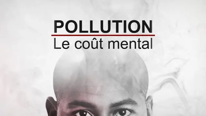 La pollution nous rendrait moins intelligents selon une récente étude