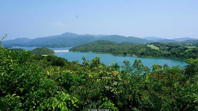 Yim Tin Tsai island, Hong Kong