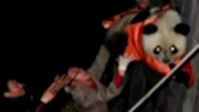 ダムにパンダが……四川省で救出劇