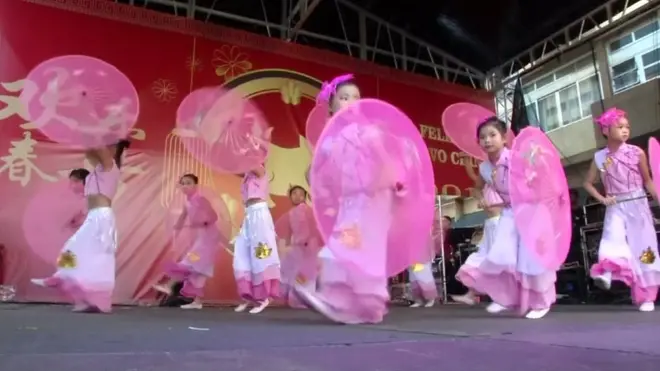 كيف احتفلت البرازيل بسنة الخنزير؟