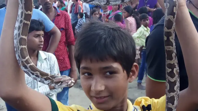 सांपों की पूजा