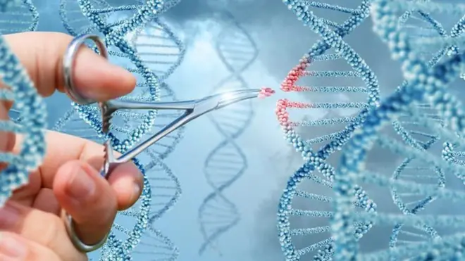 A medida que la edición de genes comienza a ser utilizada en pacientes, algunos sienten temores con la idea de manipular el código que nos da la vida a cada uno.