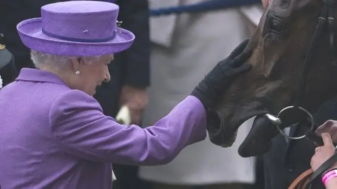 '에스티메이트'는 2013년 골드컵에서 우승했는데, 재위 중인 군주가 우승한 건 대회 207년 역사상 처음이었다