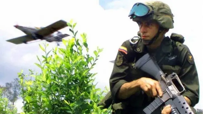 Los cultivos de coca se han multiplicado en los últimos años en Colombia.
