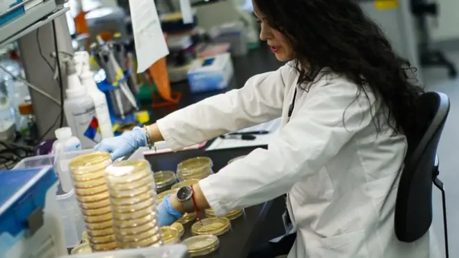 प्रतीकात्मक तस्वीर