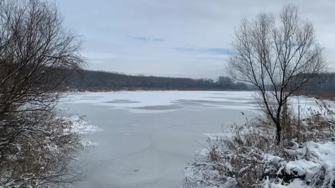 Бара Рева зими