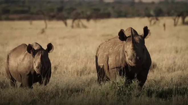 توصلت شركة جديدة لفكرة مبتكرة تساعد على جعل الكوكب أفضل بيئيا.