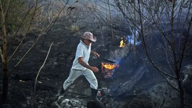 Incendio en el Amazonas.