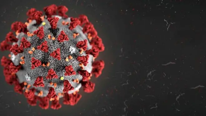 ویروس کرونا