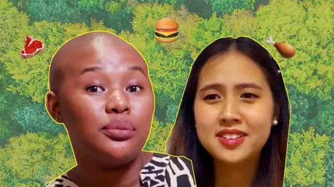 سنګاپور هغه لومړنی هېواد دی چې په لابراتوار کې به د تولید شوې غوښې خرڅلاو ته اجازه ورکړي،‌ خو ایا دا به رښتیا هم په راتلونکې کې د شین کوریزو ګازونو کمولو کې مرسته وکړي؟