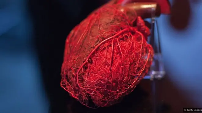 100년 이상된 간을 이식받는 사람들이 점차 늘고 있다