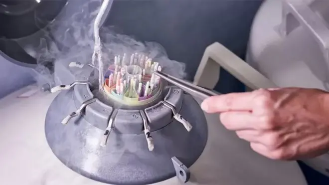 Shahwadda iyo qaabkeeda