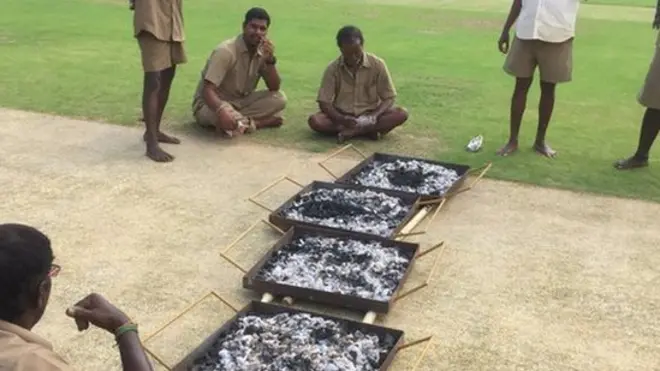 क्रिकेट पिच