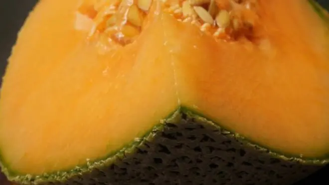 Melon