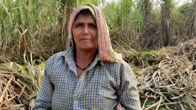 'खेती तो एक सीज़न की नष्ट होगी, क़ानून तो भविष्य ही चौपट कर देगा’