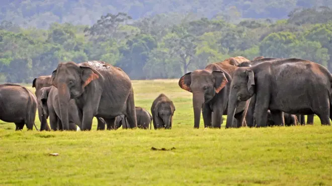 ካዉዱላ ብሄራዊ ፓርክ