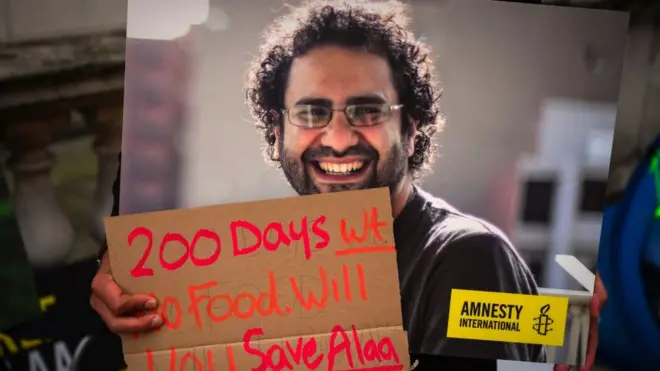 علاء عبد الفتاح