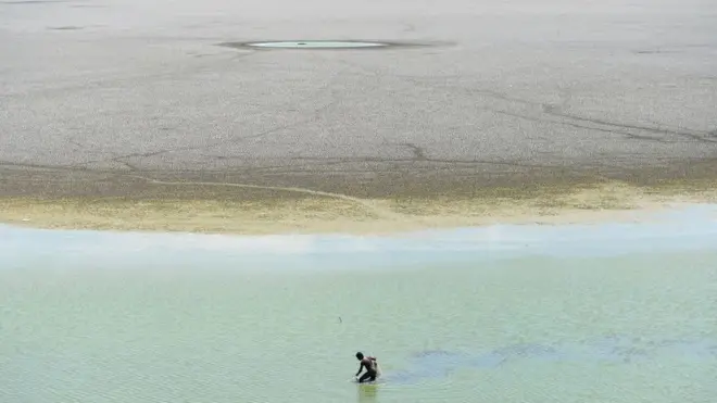 A fisherman tries to find fish in the shallow waters of the dried-out Puzhal reservoir on the outskirts of Chennai, June 2019