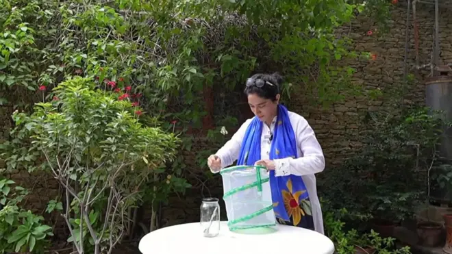 „Радим све што је у мојој моћи да сачувам и заштитим лептире“