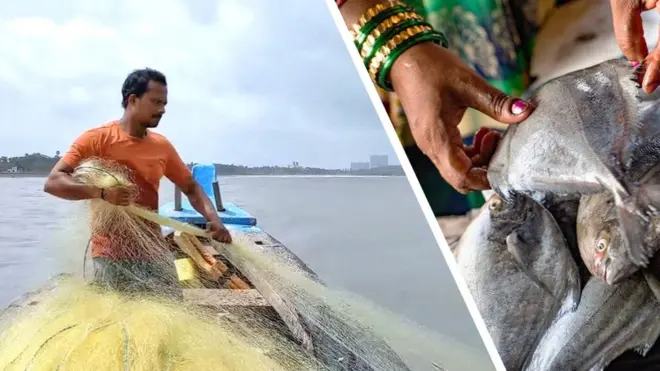 చేపలు పడుతున్న మత్స్యకారుడు