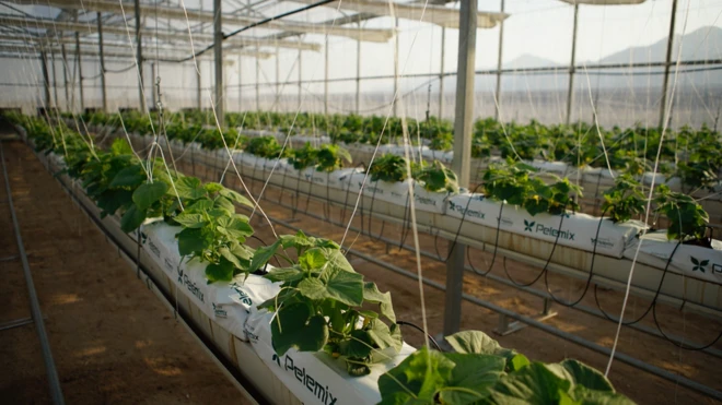 micro-irrigation