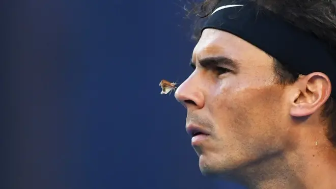 Мотылек сел на нос Рафаэлю Надалю