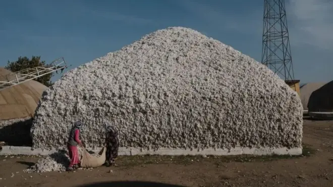 Россия қурол заводлари пахтани Ўзбекистондан сотиб олади.