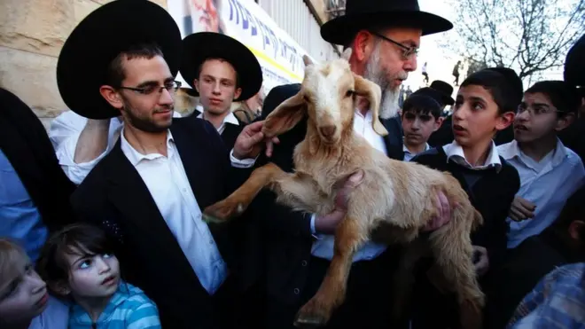 Ritual žrtvovanja koze vodi poreklo od biblijske priče o egzodusu Jevreja iz Egipta