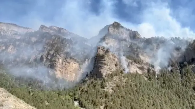 شیرانی میں چلغوزے کے جنگلات میں آتشزدگی