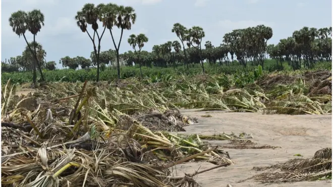 ዞባ ጋሽባርካ ኤርትራ