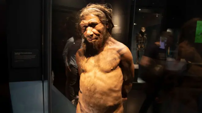 Neandertal
