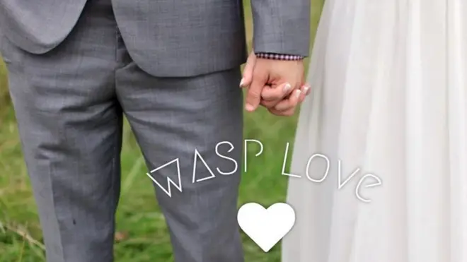 La web tiene cerca de 1.700 usuarios activos y desde la empresa aseguran muchos declaran estar satisfechos con el servicio.