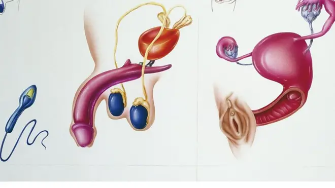 Ibihimba vy'irondoka ku bantu