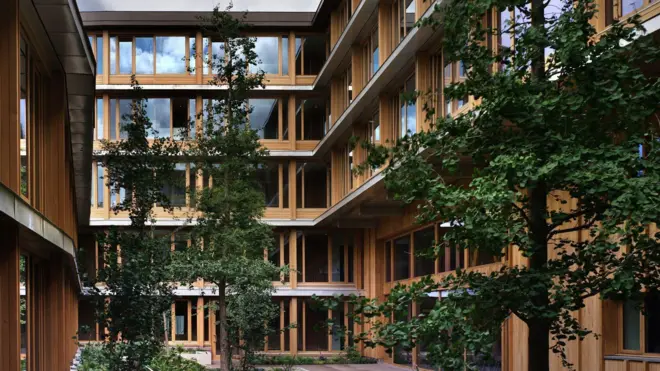 Un patio interior con varios árboles y plantas rodeado por tres lados por una edificación de cinco pisos en madera y vidrio