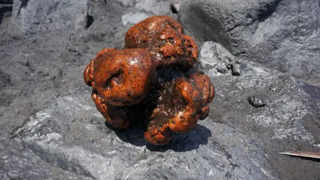 అంబర్ గ్రిస్ 