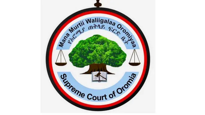 Mana Murtii Waliigalaa Oromiyaa bakkeewwan adda addaatti abbootiin seeraa bu'uura seeraa malee akka hidhaman BBC'f mirkanesseera