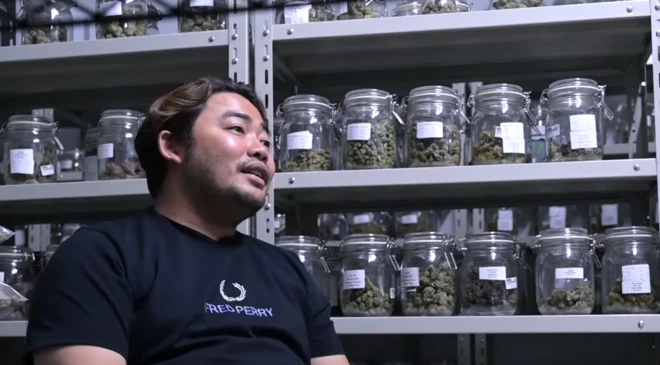 थाईलैंड में बढ़ता भांग का नशा