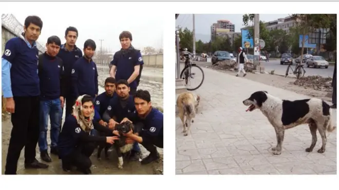 این برنامه قرار است که از آغاز سال ۱۳۹۶ خورشیدی آغاز شود.