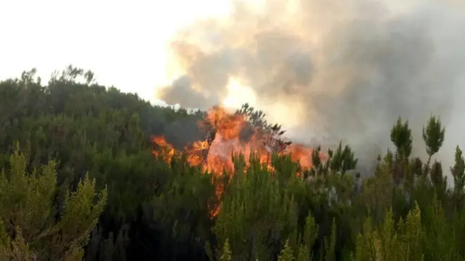 Gaarreen Baalee har'aa haala kanaan gubataa jira