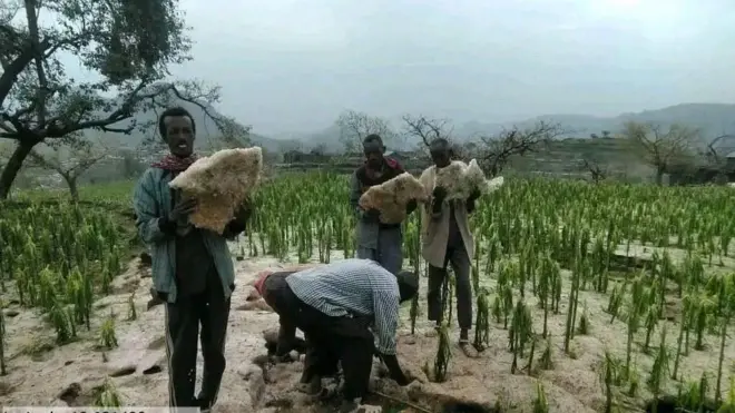 ኣብ ማእከል ግራት ኩምራ በረድ ዝሓዙ ሰብኡት ይርኣዩ