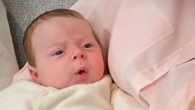 ہیوگو کی تصویر جو اب 10 ہفتے کا ہو چکا ہے