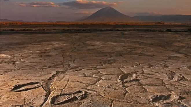 El estudio fue hecho con el apoyo de National Geographic