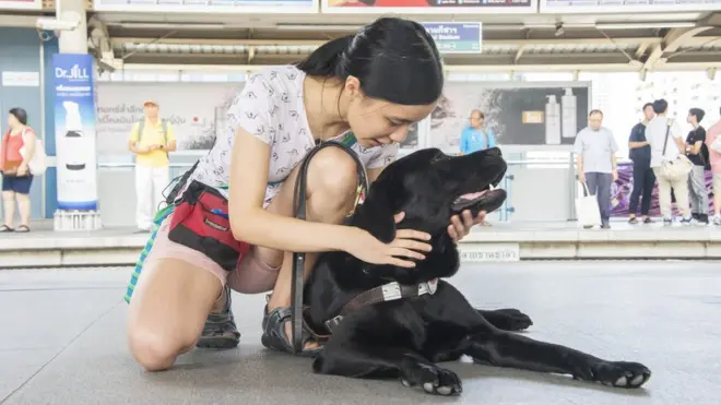 ทรายกับลูเต้อร์ สุนัขนำทาง