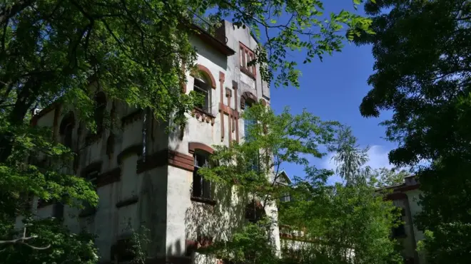 Палац потроху занепадає і заростає