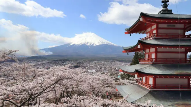 ピンクの桜が赤い五重の塔のまわりに咲いている。遠くには富士山が見える
