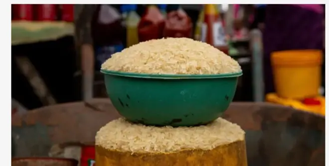 Iresi to wa ninu ìkẹ́kọ̀ọ́ alawọ ewe ateyi ti wọn bu sinu ike alawọ ofeefe, wọn gbe wọn leri ara wọn