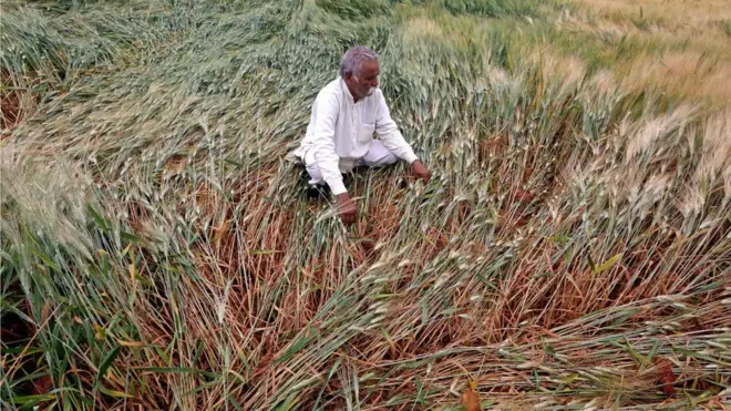 अवकाळी पाऊस