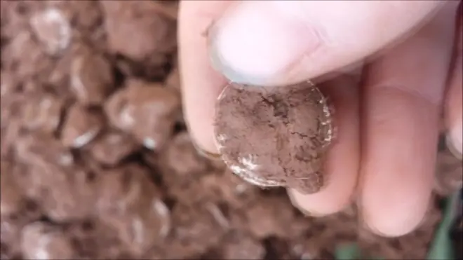 کشف گنج با دستگاه فلزیاب در بریتانیا