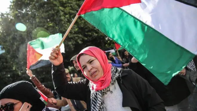 ফিলিস্তিনের পতাকা নিয়ে তিউনিশিয়ায় বিক্ষোভ। 